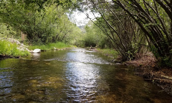 Nathrop Cabin | Aspen Grove with a hot tub and cozy fireplace, come take the chill off!