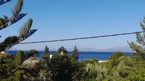 Nea Styra Apartment | Asteria Apartments