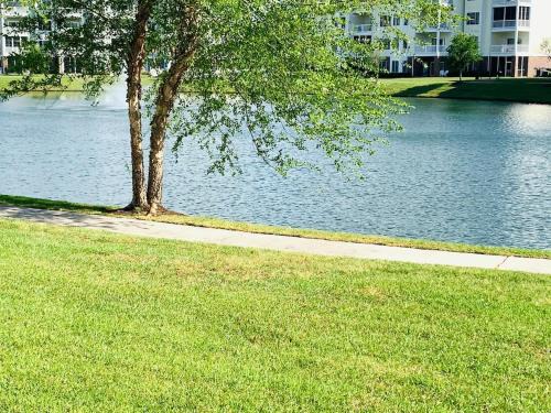 Central Myrtle Beach House | Astonishing view great condo at Myrtlewood Villas