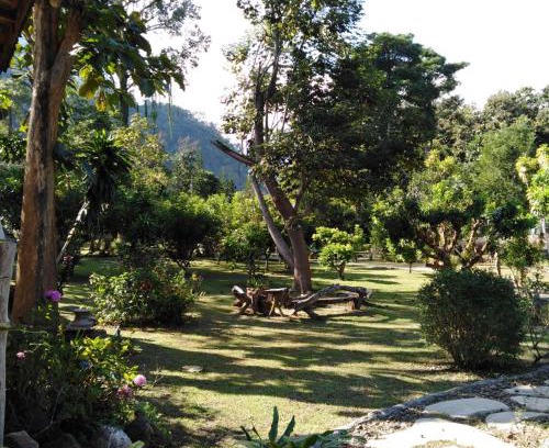 Chiang Dao Resort | At Home Chiang Dao, Pooch Lovers