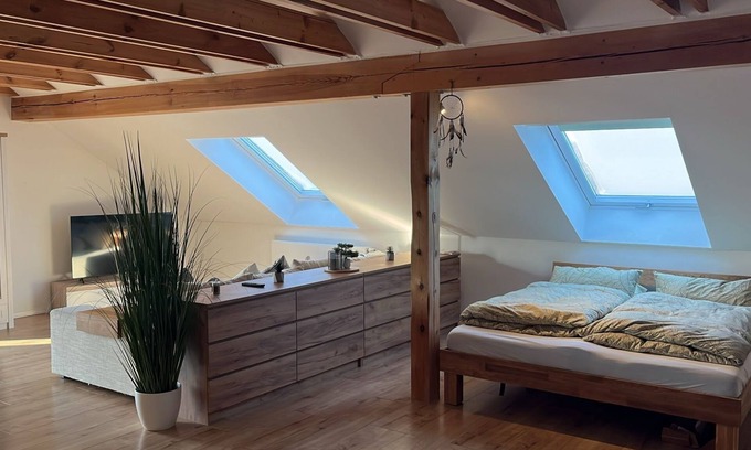 Altdorf bei Nuernberg Apartment | Attic suite with living room/bedroom
