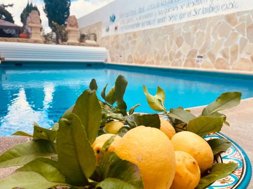 Granadilla de Abona House | Authentic Canary Style Villa with private pool and garden- Casa Juan Vera