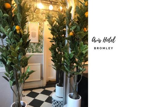 Plaistow and Sundridge Hotel | Avis Hotel