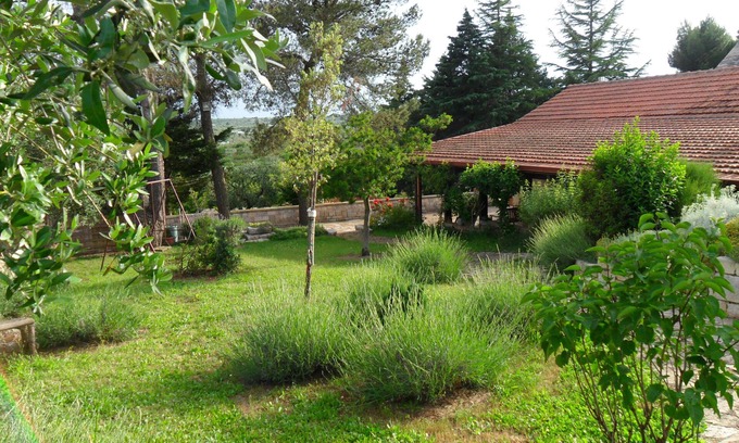 Alberobello House | Away from crowded streets, privacy in greenery, suitable for up to 12 guests