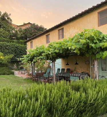 Lucca House | Azienda Agricola Fabbrica Di San Martino