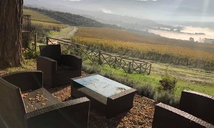 Twist Other | AZIENDA AGRICOLO IL POGGIOLINO