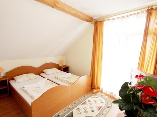 Odorheiu Secuiesc House | Béluci Panzió