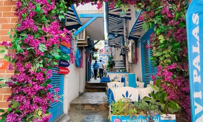 Adalar Hotel | BÜYÜKADA MAVİ PALAS HOTEL
