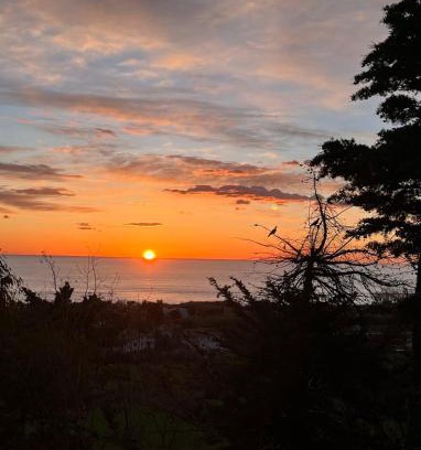 Cologna Spiaggia Bed & Breakfast | B&B Acqua e Sale