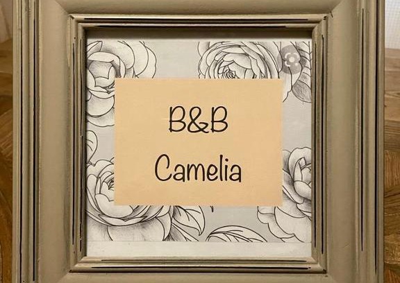 Citta di Castello Bed & Breakfast | B&B Camelia