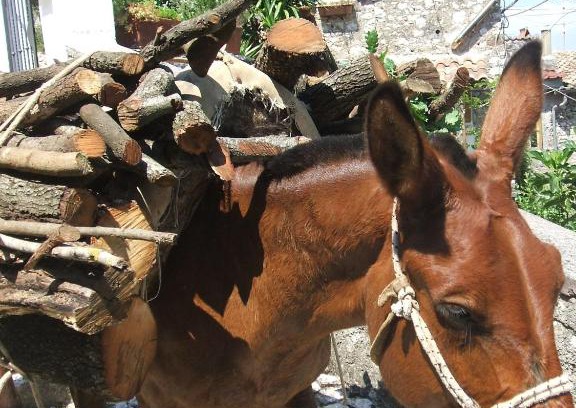 Artena Bed & Breakfast | B&B Dell' Artista