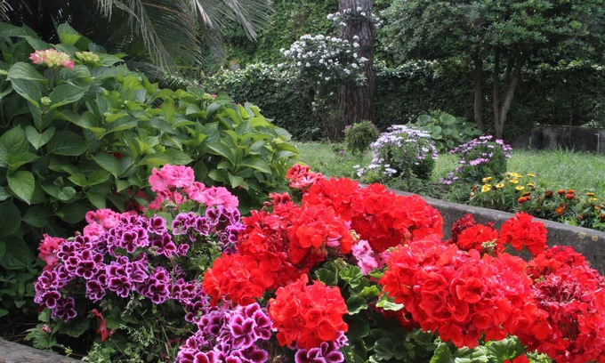 Anacapri Bed & Breakfast | B&B Il Sogno