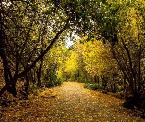 Spezzano della Sila Bed & Breakfast | B&B Nonna Iolanda