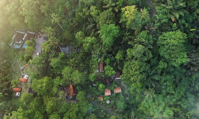 Sebatu Hotel | Bali Jungle Resort
