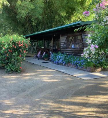 Clevia House | Bamboe