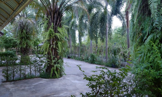 Chakphong Hotel | Ban Medsai Resort