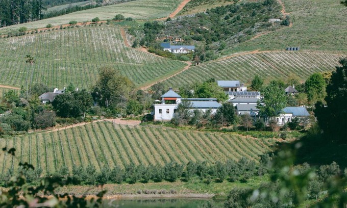 Cape Winelands Apartment | Bartinney Private Cellar Banhoek