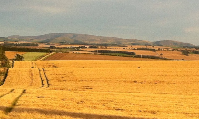Coldstream Cottage | Bartlehill Cottage, Idyllic Pet Friendly Cottage, Beautiful Scottish Borders