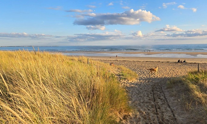 Erdeven House | Beach house with pool - Erdeven, Carnac - fleur des dunes