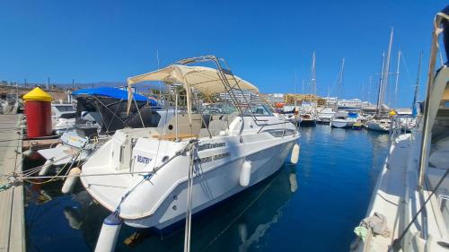 San Miguel de Abona Boat Rental | Beatrix boat