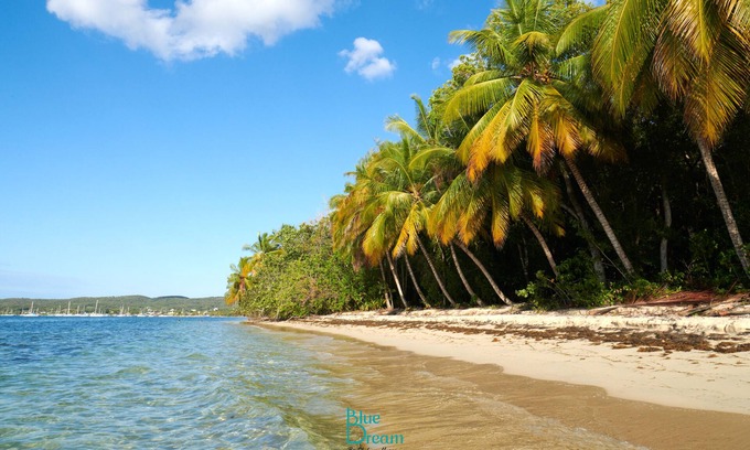 Grand-Bourg Apartment | Beau Studio Équipé Dans un Complexe Hôtelier de Standing
