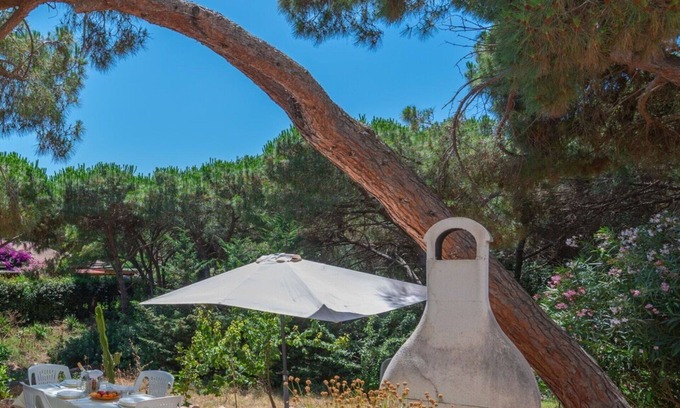San Pietro a Mare Apartment | Beautiful apartment for 4 people with A/C, WIFI, TV, patio and pets allowed