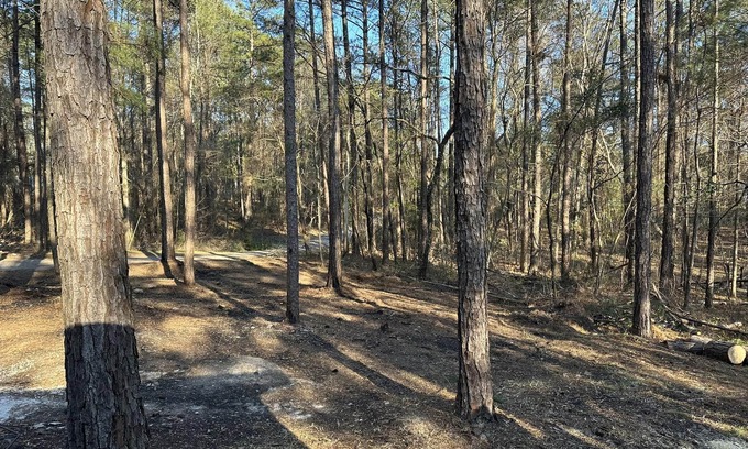 Eclectic Cabin | Beautiful cabin within two miles of Lake Martin