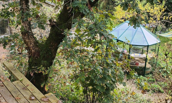 Holne Cabin | Beautiful Dartmoor cabin reasonable rent