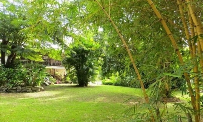 Pine Gardens Apartment | Beautiful Eco friendly, Vegetarian Apartment