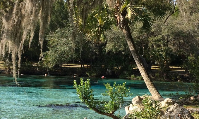 Salt Springs House | Beautiful Get-away - Ocala National Forest @ Salt Springs Resort- Loaner kayaks!