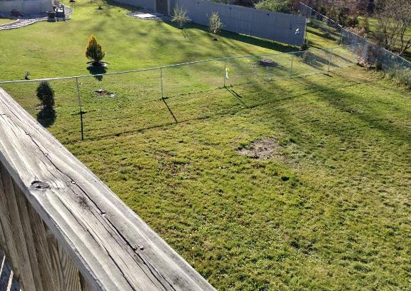 Newtonville House | Beautiful House