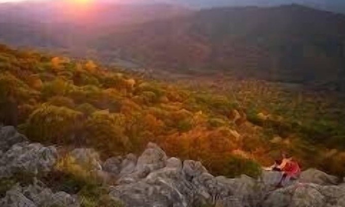 Roseland Apartment | Beautiful Mountain View’s near Wintergreen breweries wineries Dog friendly