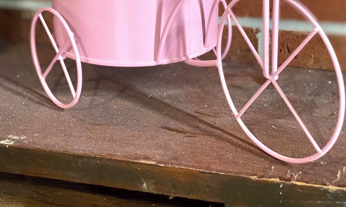 Port Malabar House | Beautiful Spacious 4 bedrooms Brick Villa- Pet Friendly