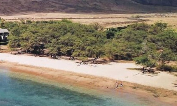 Maalaea Condo | Beautifully Renovated Romantic Beachfront Condo