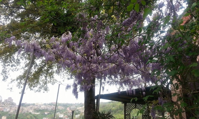 Subiaco Bed & Breakfast | Bed & Breakfast Ristorante Belvedere