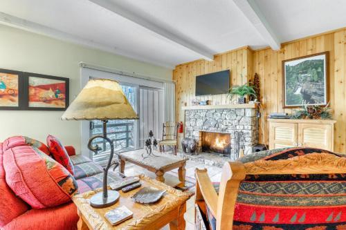 Sugar Mountain Apartment | Bee Branch 04