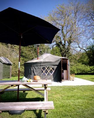 Haslemere Other | Beech Yurt