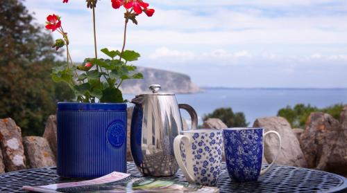 Swanage Apartment | Belvedere Lodge Swanage Dorset Sea View Luxury