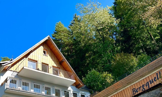 Ortsmitte Apartment | Bergquell Willingen App. 7