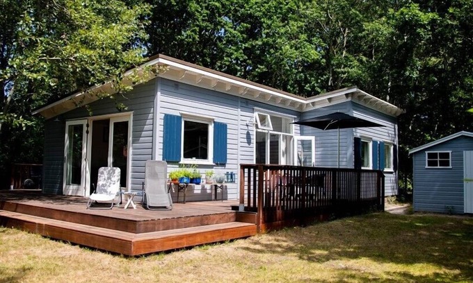 Nieuw-Haamstede Ski Chalet | Berkenpad 5 comfortable holiday cottage in nature