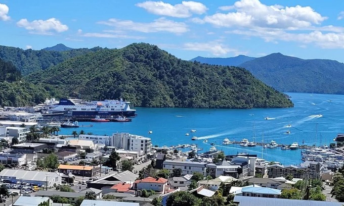 Picton Apartment | Best Harbour Views in Sunny Peaceful Location