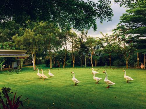 Pak Chong House | Better Weather Homestay
