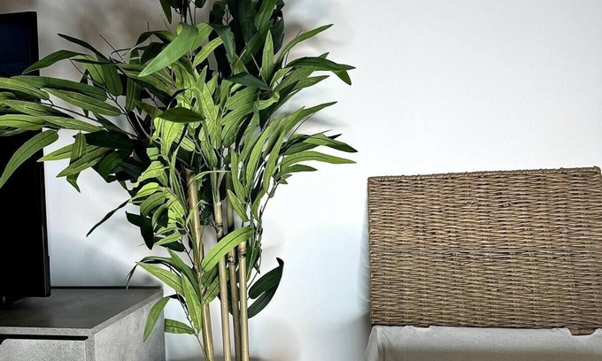 Gay Village Apartment | Birmingham city centre- Free parking - No Deposit