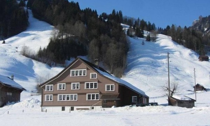 Mitloedi Other | bison