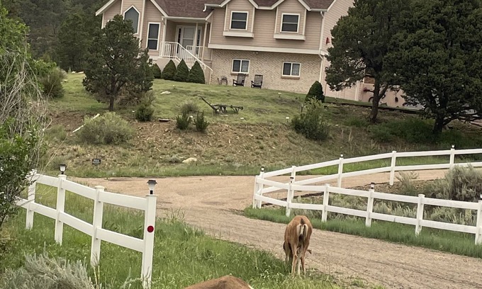 Raton House | Black Bear Ridge Vacation Home