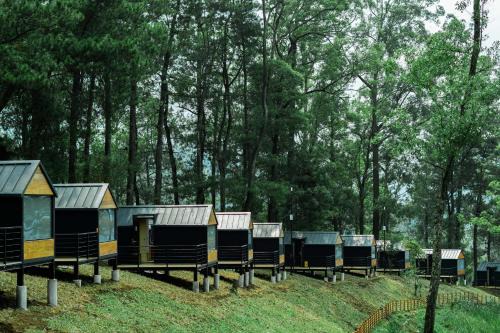 Pujon Resort | Bobocabin Coban Rondo, Malang
