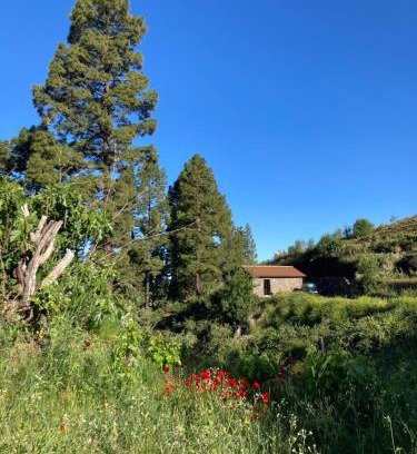 Puntagorda House | Bodega Linda