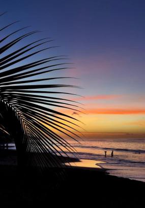 Bas Vent Apartment | Bohème Carïb - Vue mer & Massages