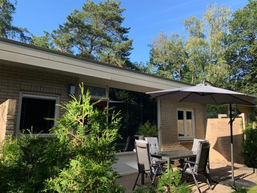 Otterlo House | Bonte Specht: tot rust komen in de natuur!