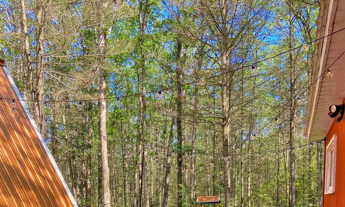 Holton Cabin | Book your Summer stay NOW!